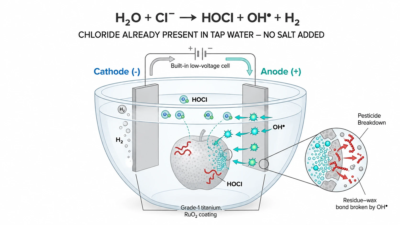 Diagram of the device's titanium electrodes running a low-voltage current through plain tap water: H2O plus chloride already present in tap water yields HOCl, hydroxyl radicals and H2, breaking down pesticide residue on an apple